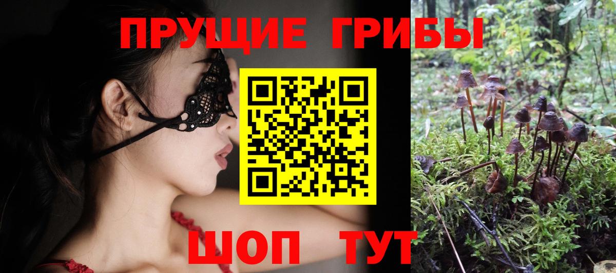 закладки  Вход с VPN  Орёл  Псилоцибиновые грибы ЛСД 